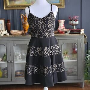 Annabella Black Gold Lace Skater Dress Size Small NWT